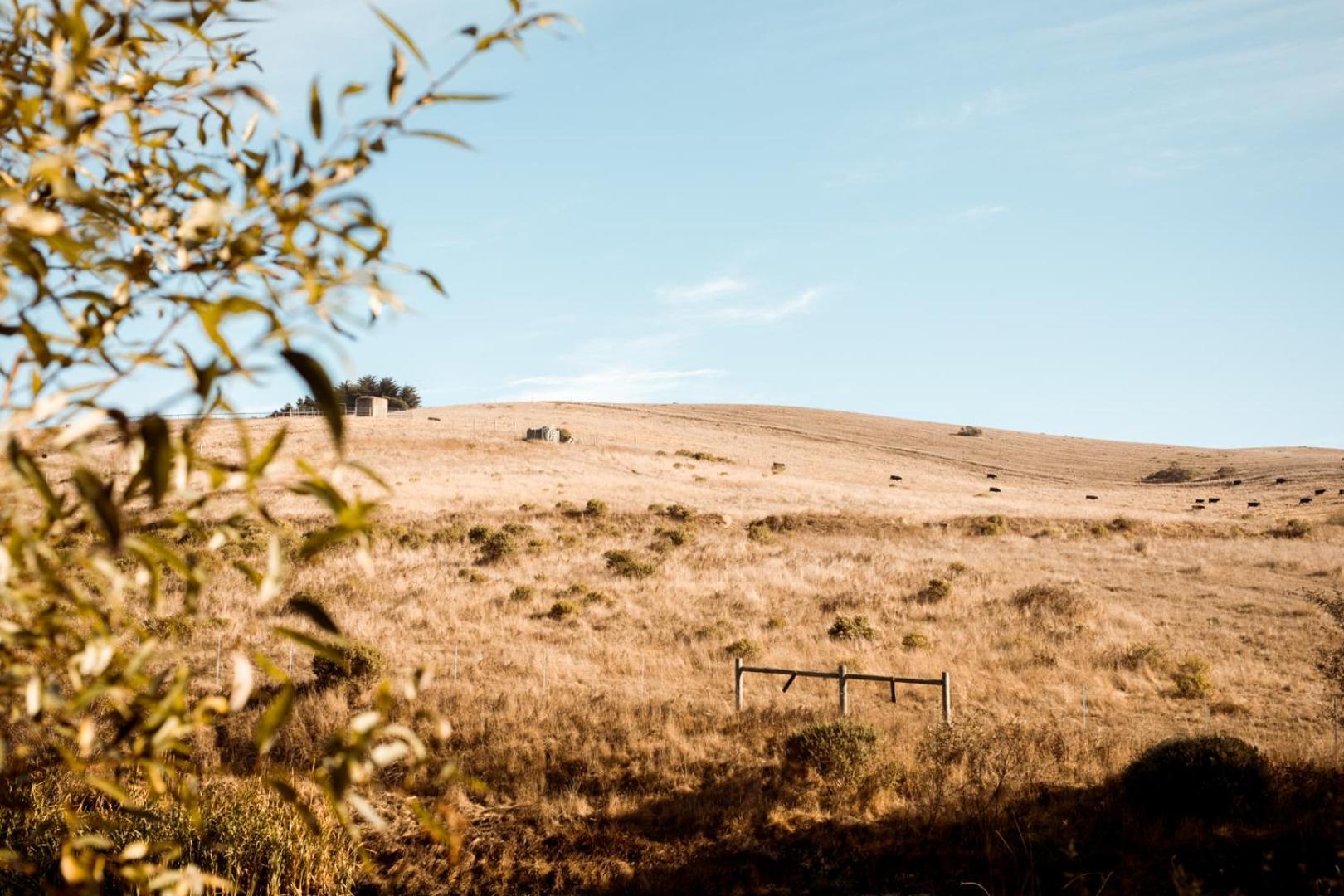 Sonoma Coast 4* Bodega